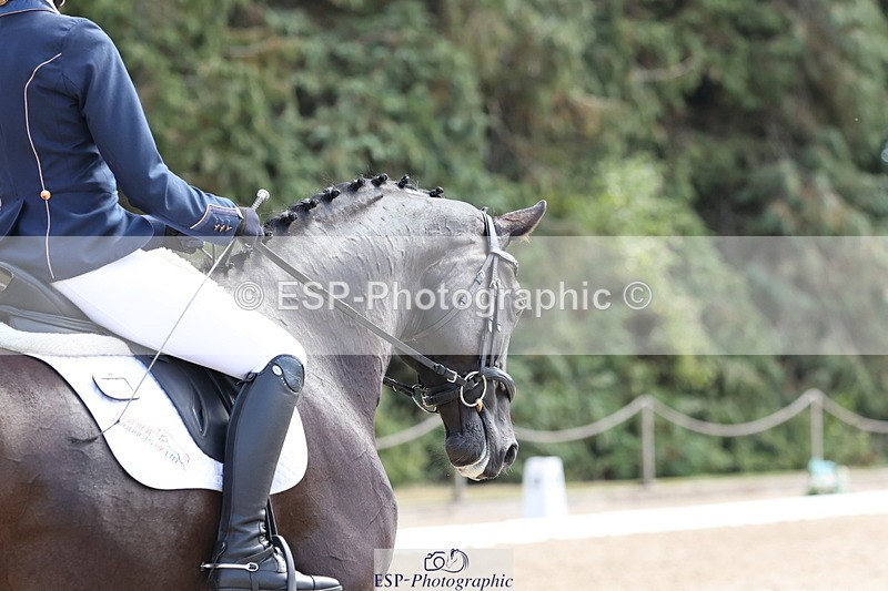 250809A-135722-03846 - 007-Laura.ScottCEI.Summer.Days