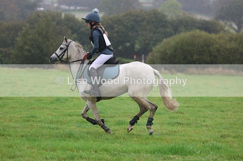 3E7A0888 - Class 1: 65cm: Rails