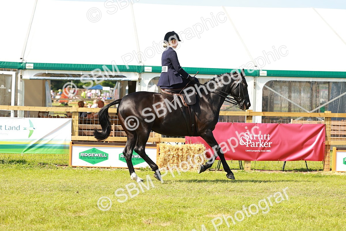 SBM_13148 - Class 70-71 - Side Saddle