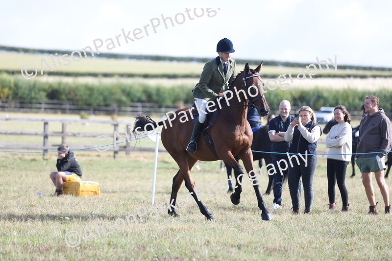 20250831-0846 - Class 14 - Ex Racehorse