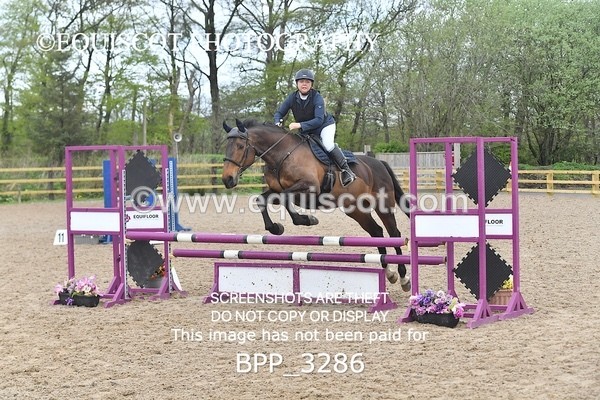 BPP_3286 - CLASS 14 SUN Senior BritiNovice/ 90cm Open