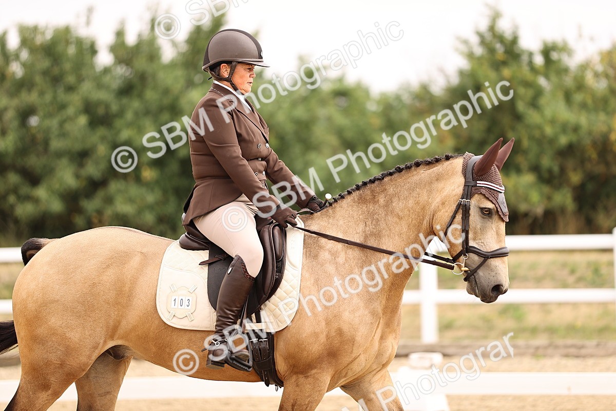 SBM_006438 - Intro 3 - 9.46-10.46