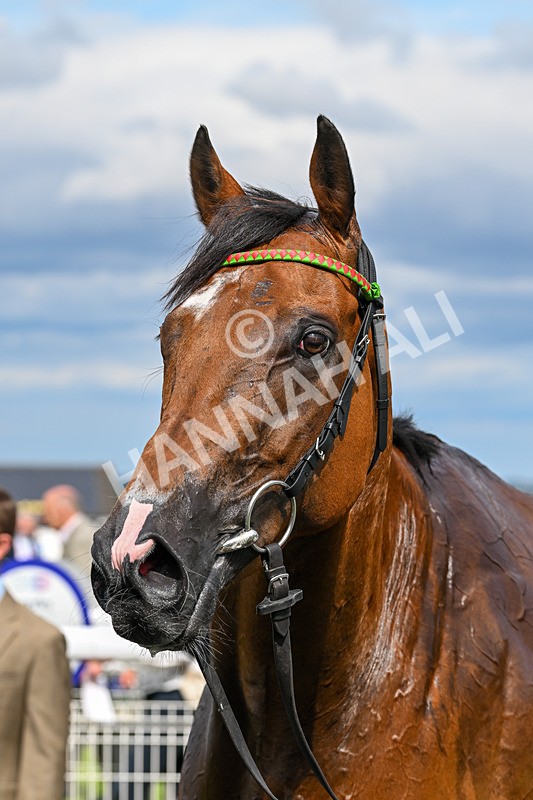 050725-Race 4-Candleford-8711 - Race 4