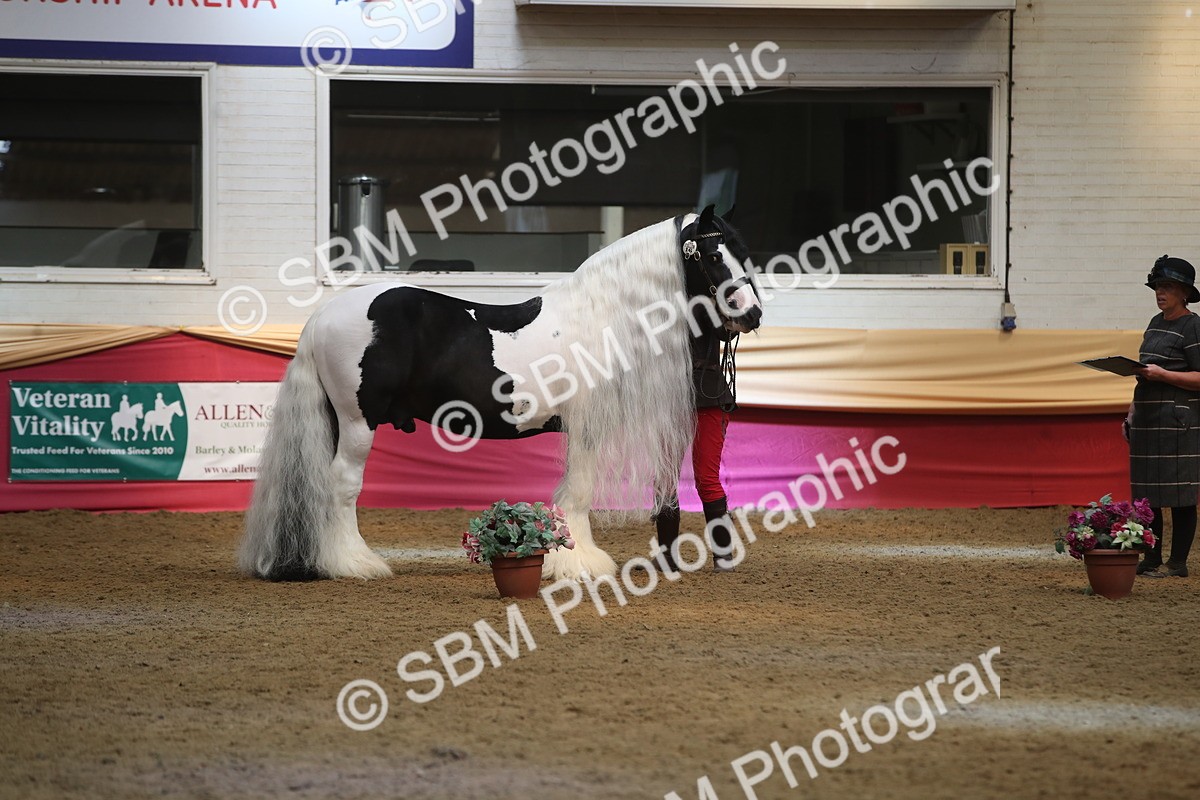 SBM_05507 - Class 9R - Regional IH Pre-Vet