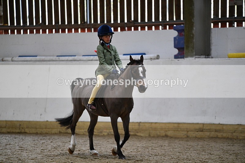 WJ5_6840 - Class 10 Childs Pony