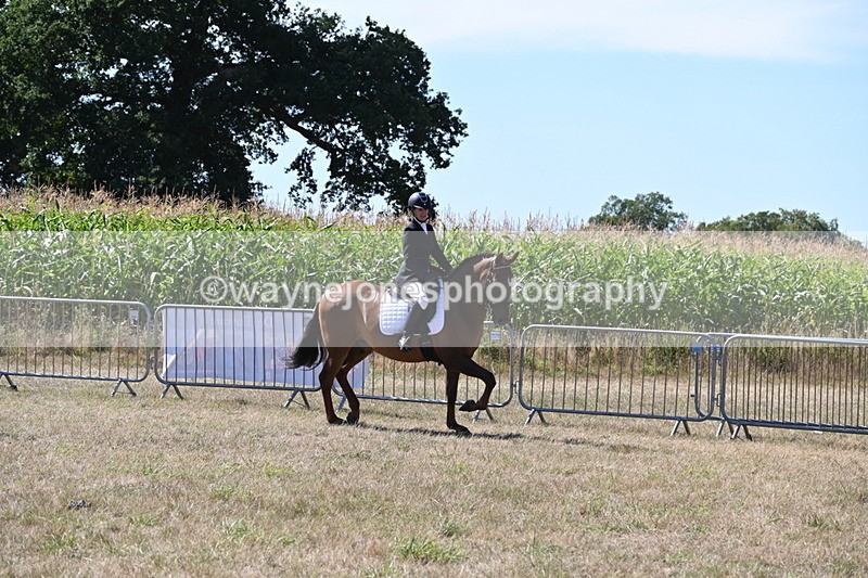 WJ6_8881 - Class 38 Ridden Riding Horse/Pony