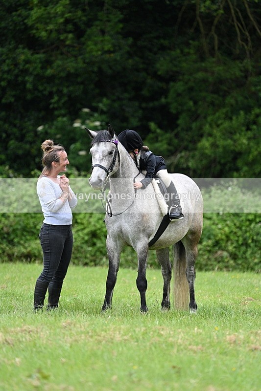 WJ7_4203 - Class 14A Handsome Gelding