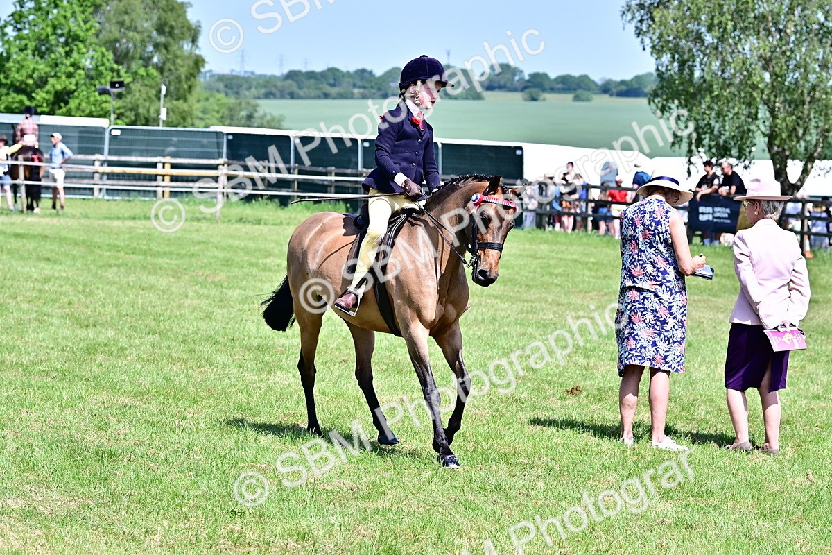 SBM_13990 - Class 95-97 - BSPS LHS Performance Ponies
