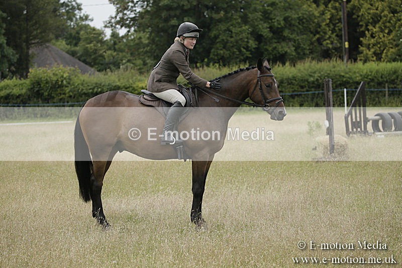 B230619-0025 - Bourne Valley Riding Club Summer Show 23/06/19