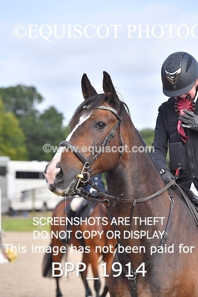 BPP_1914 - CLASS 10 SUN Club/ Unaffiliated 70cms Open