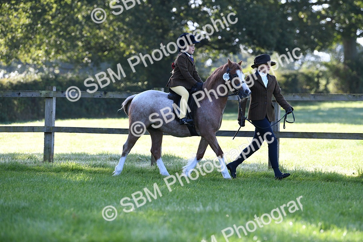 SBM_35324 - S17 - Condition & Turnout - Lead Rein