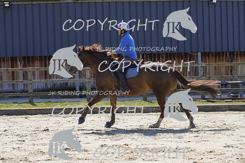 _DSC0884 - 80cm