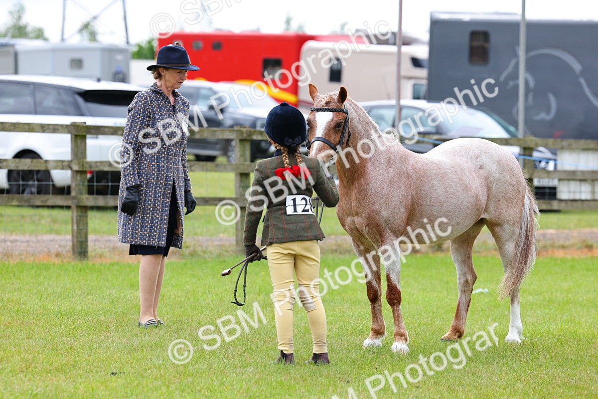 SBM_09434 - Class 44-45 - LIHS BSPS Open Nursery and Cradle Stakes