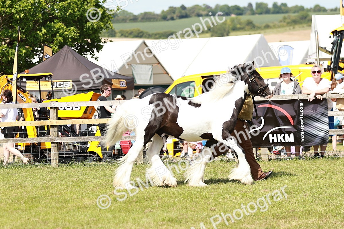 SBM_08560 - Class 63-65 - Traditional Gypsy Cobs In Hand & Ridden
