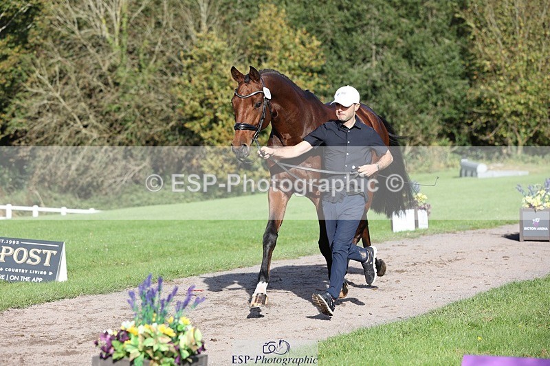 241027-103111-15937 - 584-Tommy.Greengard-I'M.ALL.IN