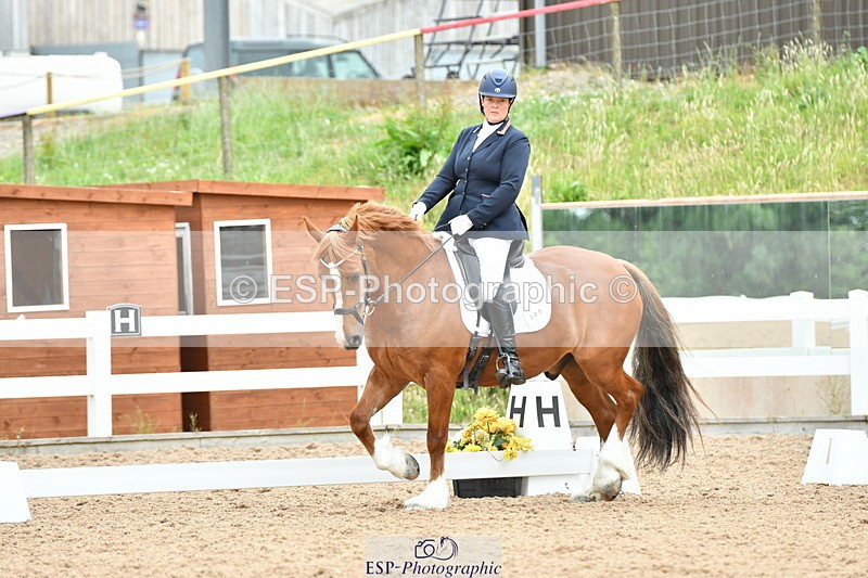 230630A-115000-01701 - Cls 7 Elementary 45