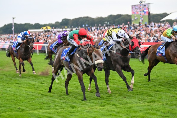 230825-Race 5-Northern Ticker-0759 - Race 5 4.10pm Sky Bet Constantine Handicap