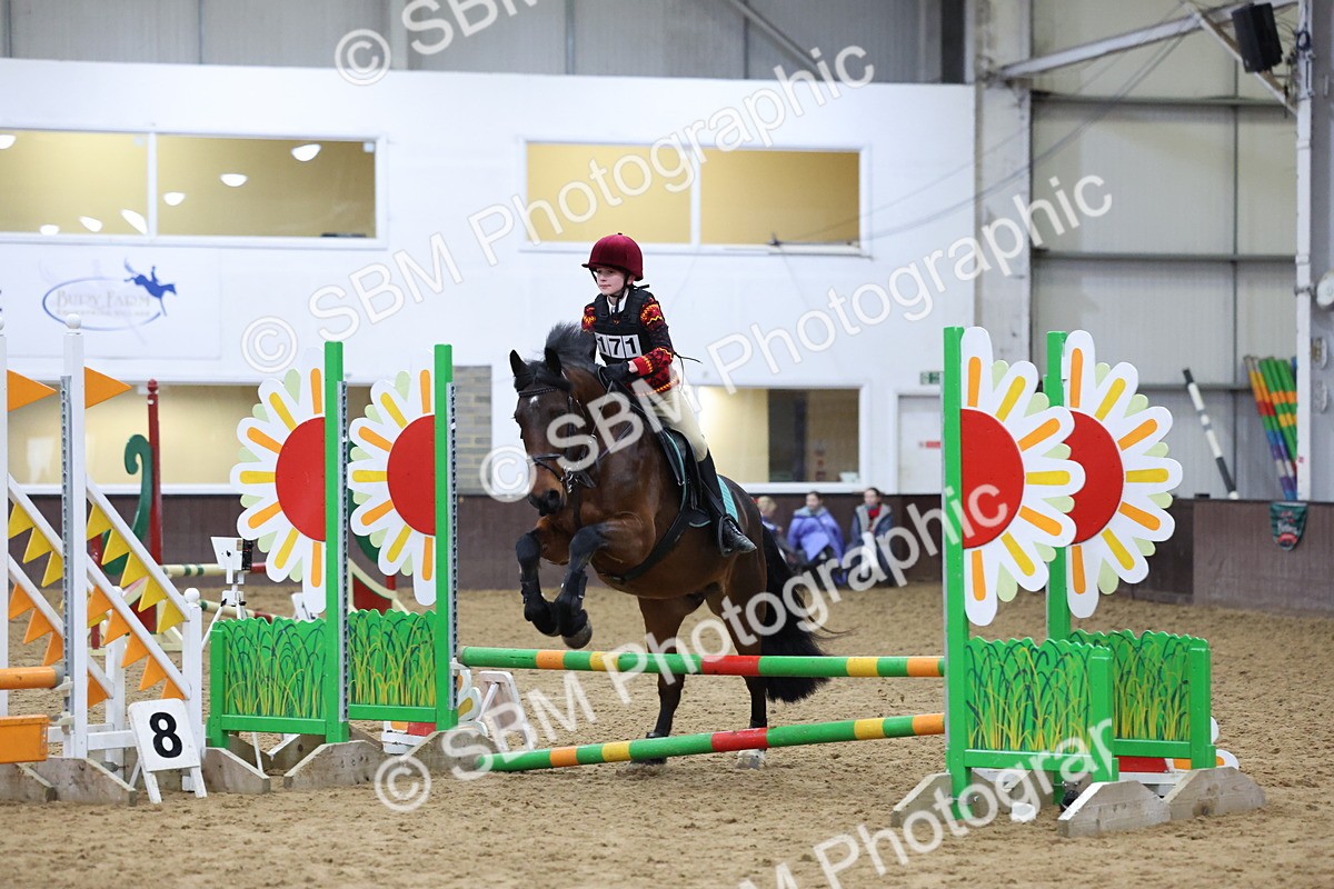 SBM_001033 - Class 3 - Christmas Tree Stakes - 60cm