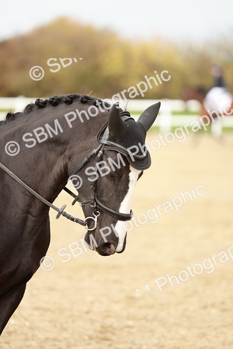 SBM_002087 - Class 6 - Prelim 2