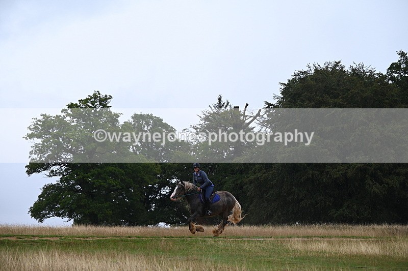 DSC_3287 - Time at Statue 12:59 to 13:49