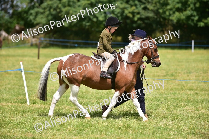 20260614-1365 - Class 11b - Lead Rein Pony (Plaited)