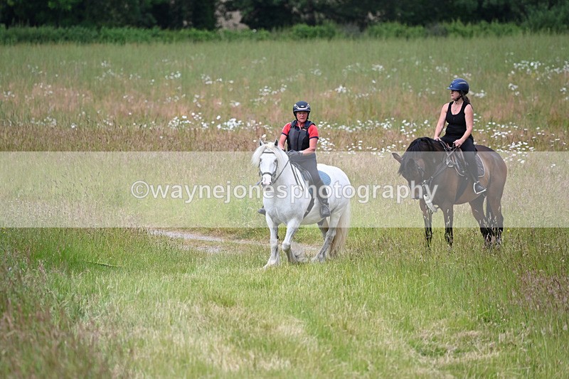 WJ6_8019 - Camera 1 Gallops