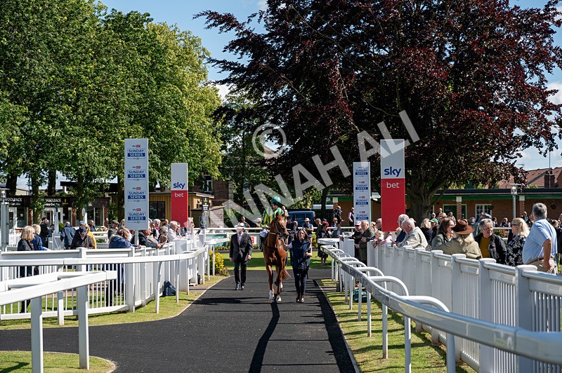 160624-Race 2-Telemark-5392 - Race 2