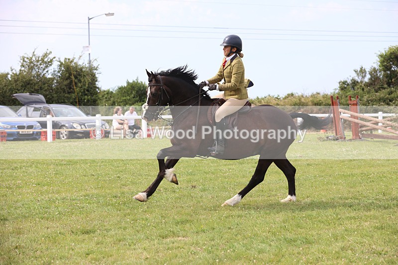 JPP_4025 - Class 24: Working Hunter 90cm