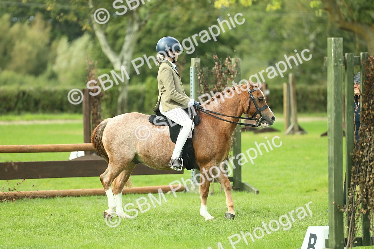 SBM_44656 - S31 - Working Hunter Pony