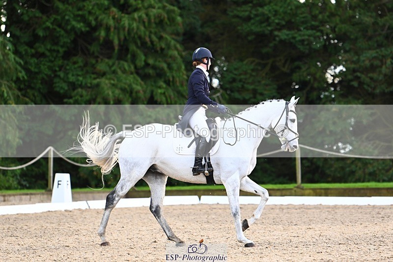 231021-160002-20988 - 262-GOOD.BOY.ALEX-Tara.Jefferies-DR