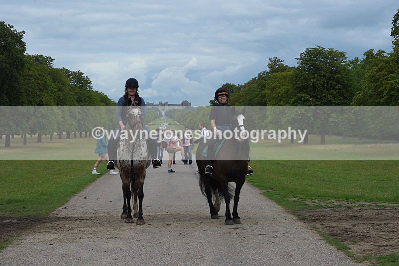 TT3_9646 - Time at Crossing 11:28 to 13:16