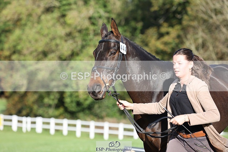 241027-095129-15541 - 444-Tatiana.Wharton-NO.TOMMY.NO