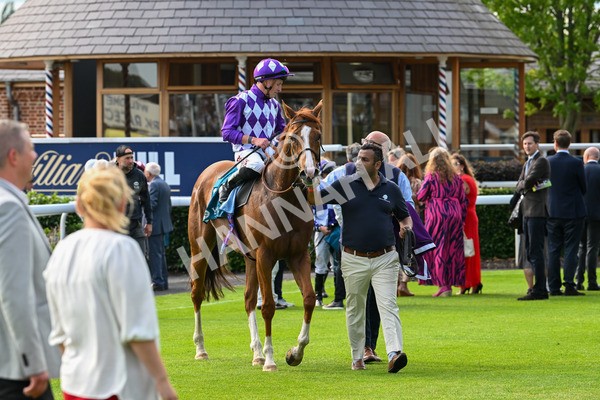 310525-Race 7-Mums Tipple-0486 - Race 7 5.00pm William Hill Best Odds Guaranteed Handicap