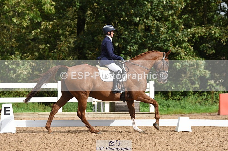 230912A-111310-00542 - Cls 7 Elementary 40