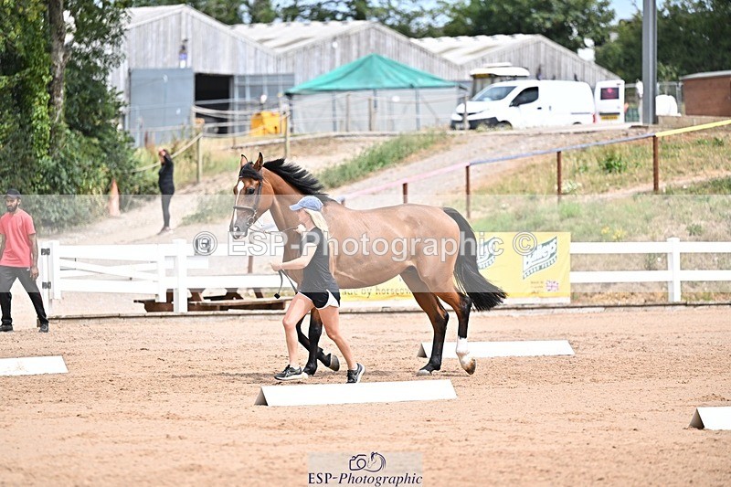 250716-132551-00509 - Trot Up 12.30 to 1.30