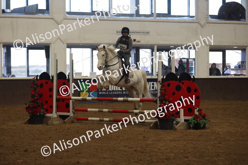 20260314-3393 - 80cm