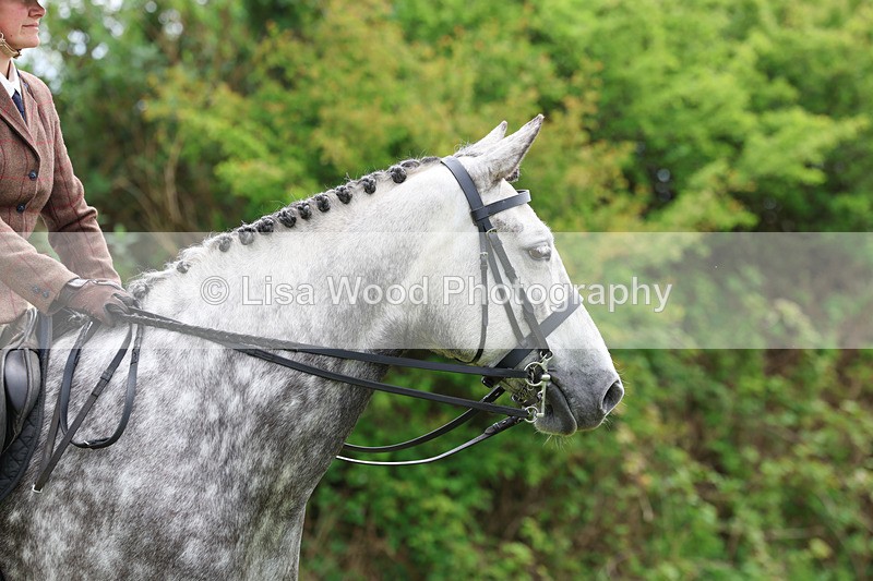 3E7A1331 - Class 7: Ridden Hunter Type