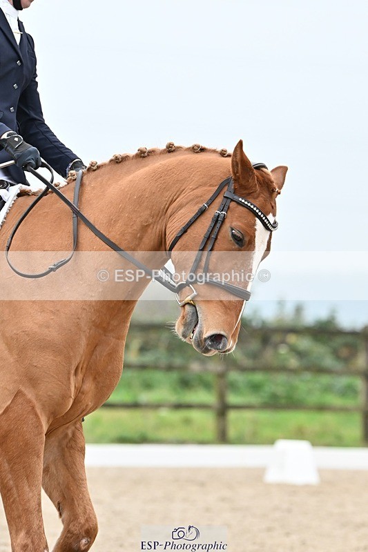 241103-142513-01966 - Novice 1 - 13.10 to 14.34