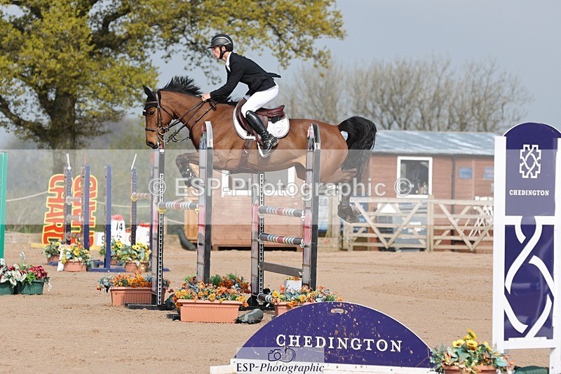 250424-101713-02933 - Cls 33 Young Horse 7yr old