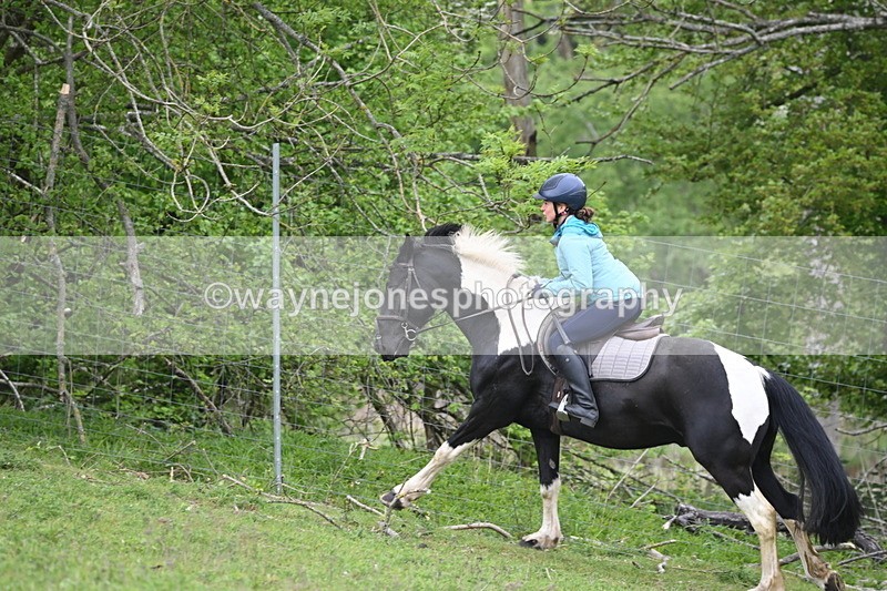 WJ6_3067 - A Camera