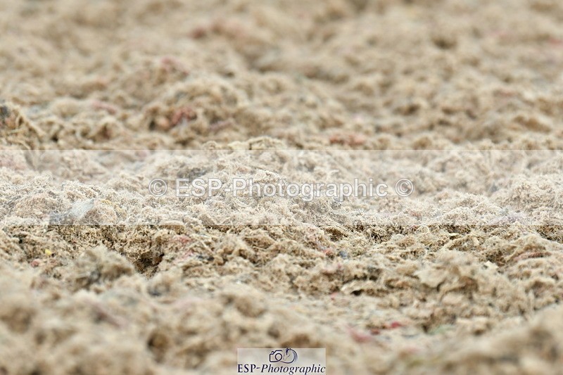 230701A-101221-04489 - Cls 2 Prelim 19