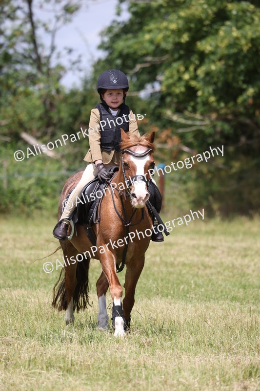20260614-2020 - Class 21 - Novice Working Hunter Pony