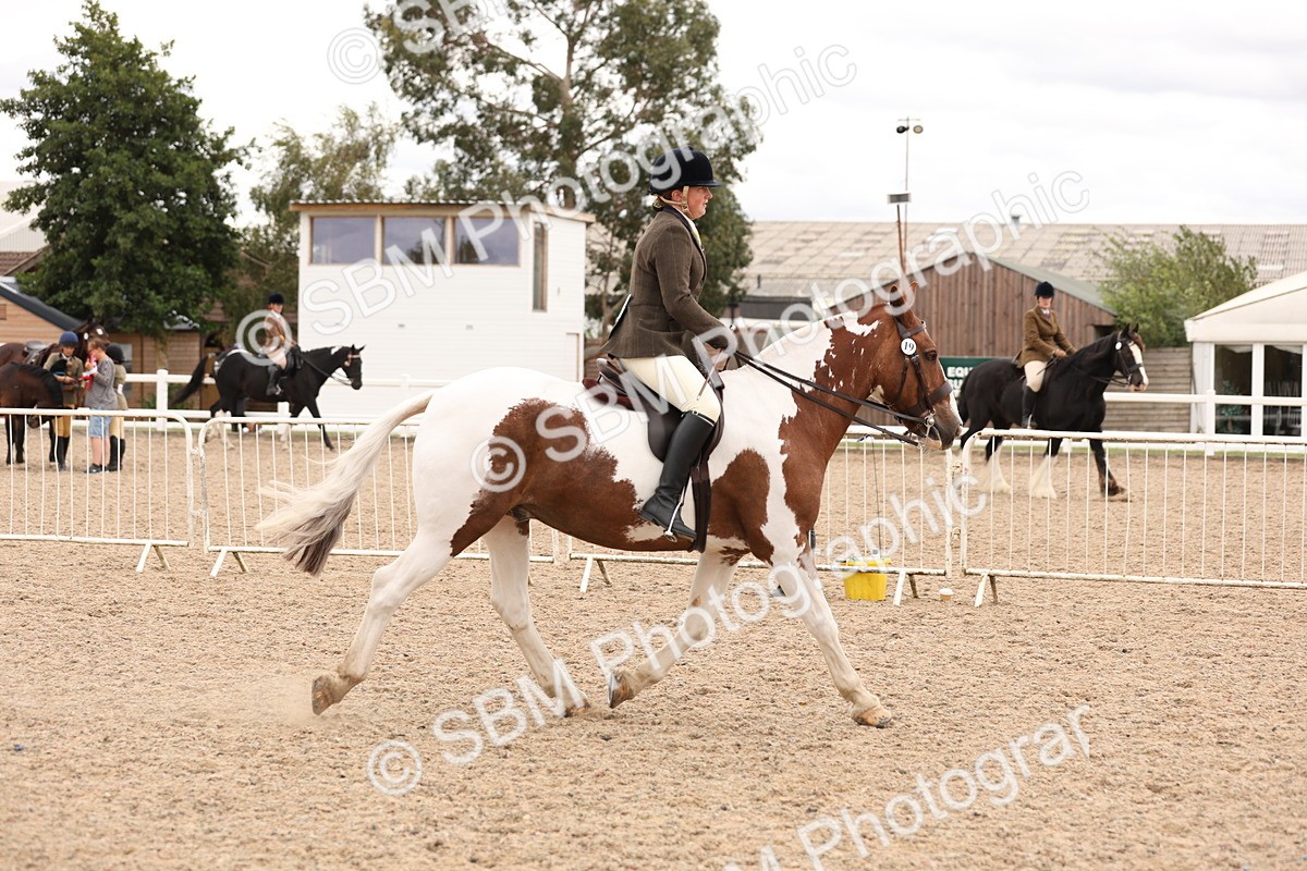 SBM_19503 - Class 215 - Ridden Show cob