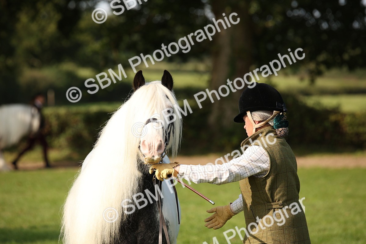 SBM_62218 - S55 - Traditional Cob In Hand