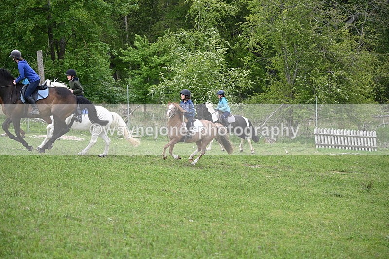 WJ6_3040 - A Camera