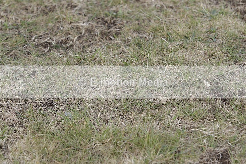 BVHT 140517 I-607 - Class 1 SJ Intermediate 14/05/17