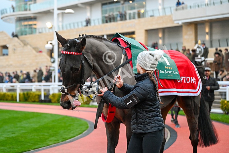 131224-Race 7-Gowel Road-0124 - Race 7