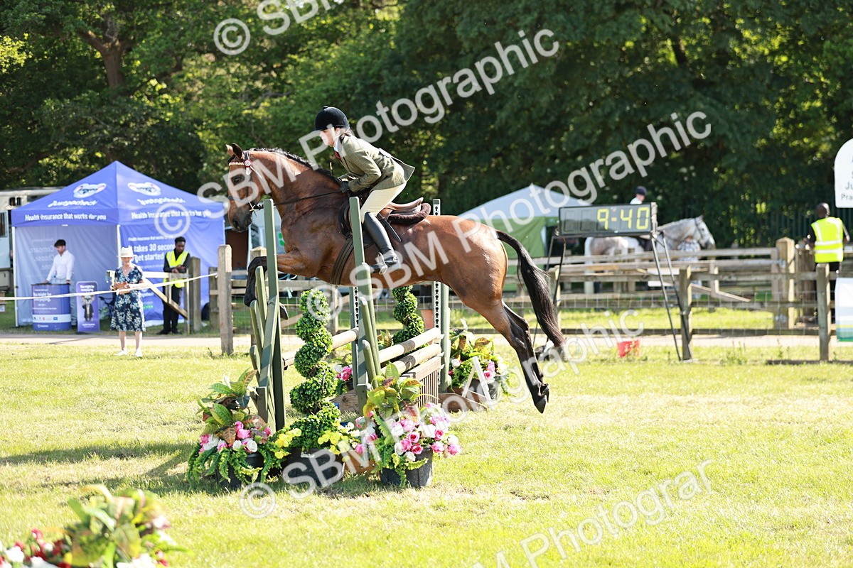 SBM_19150 - Class 115-116 - LIHS BSHA Rising Star Working Hunter & Show Horse