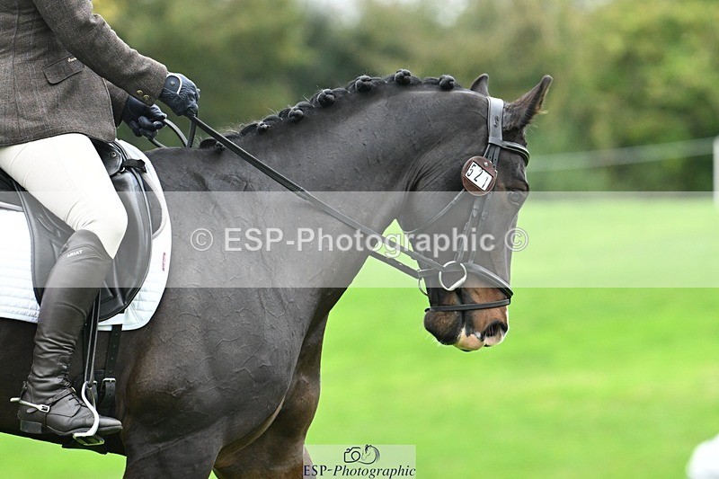 241024-130258-03607 - 521-Rhianna.Ryan-HATTERALL.NEW.YORK