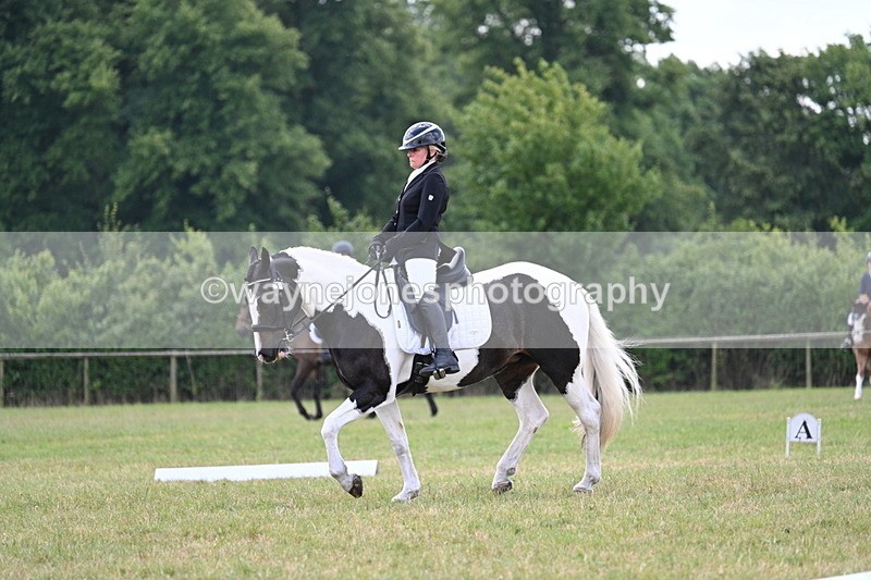 WJ7_5316 - Time 11:22 to 11:51